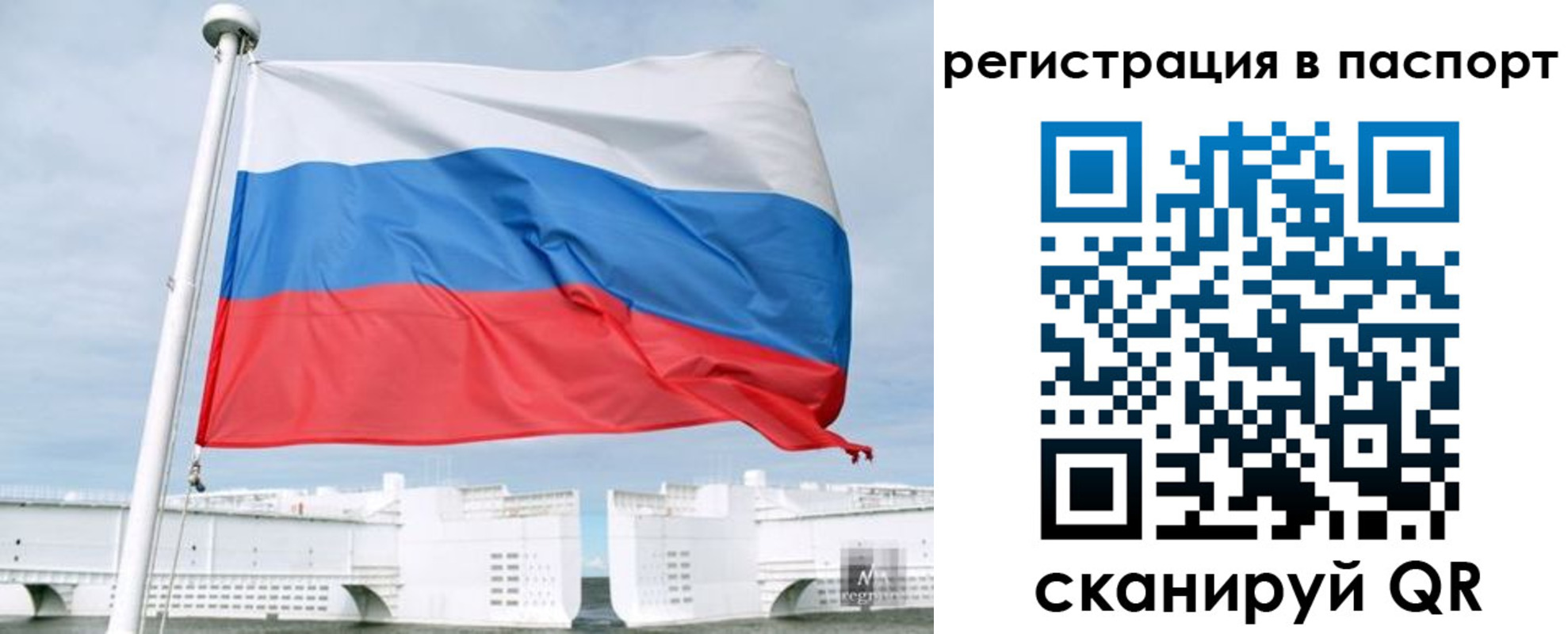 регистрация в Апатитах